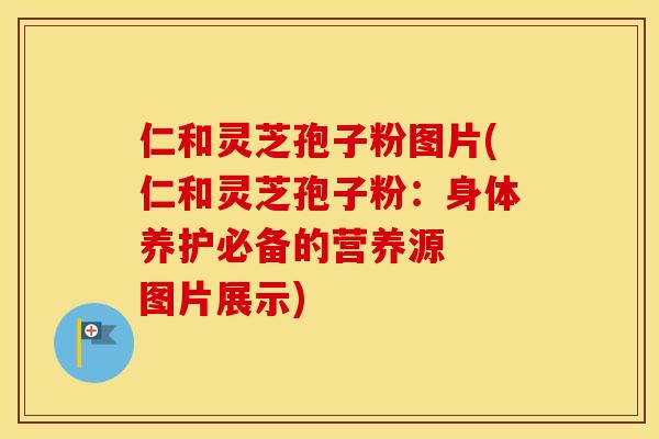 仁和灵芝孢子粉图片(仁和灵芝孢子粉：身体养护必备的营养源  图片展示)