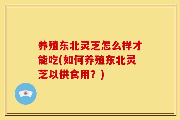 养殖东北灵芝怎么样才能吃(如何养殖东北灵芝以供食用？)