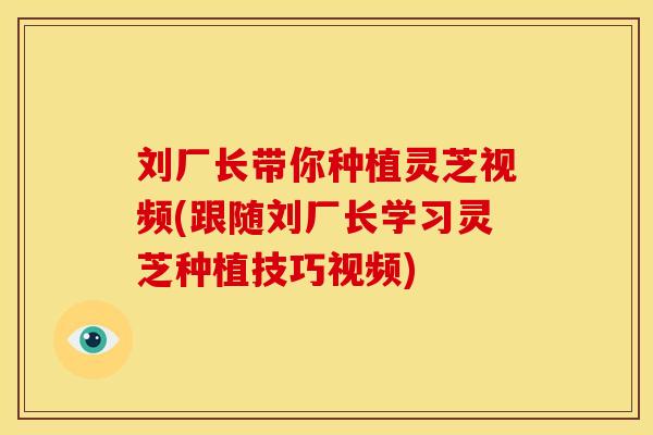 刘厂长带你种植灵芝视频(跟随刘厂长学习灵芝种植技巧视频)