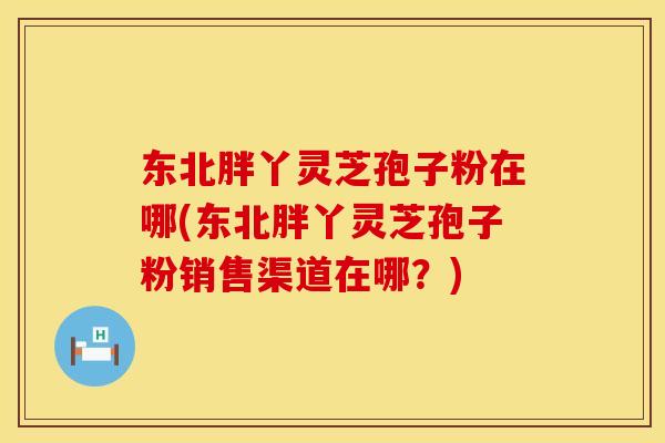 东北胖丫灵芝孢子粉在哪(东北胖丫灵芝孢子粉销售渠道在哪？)