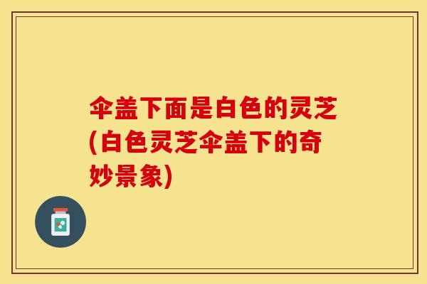 伞盖下面是白色的灵芝(白色灵芝伞盖下的奇妙景象)