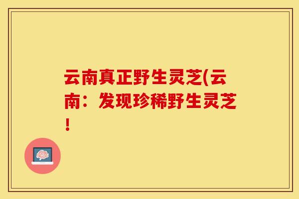 云南真正野生灵芝(云南：发现珍稀野生灵芝！