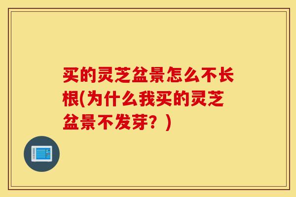买的灵芝盆景怎么不长根(为什么我买的灵芝盆景不发芽？)