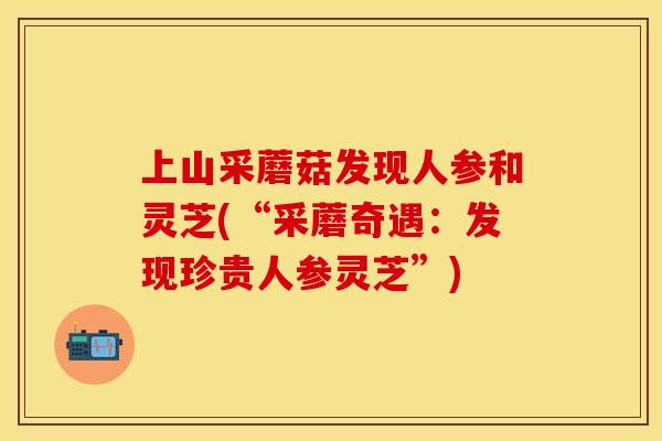 上山采蘑菇发现人参和灵芝(“采蘑奇遇：发现珍贵人参灵芝”)