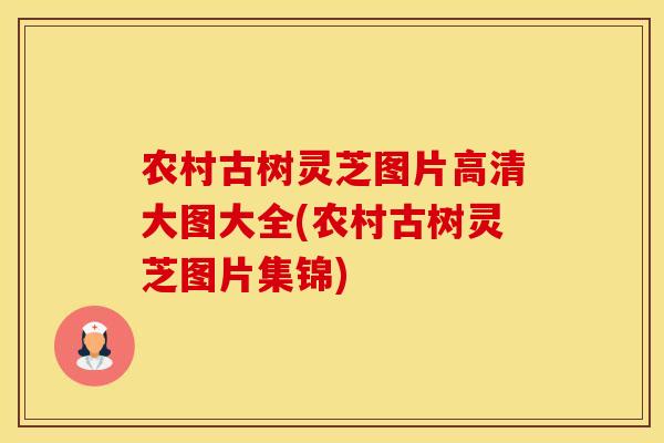农村古树灵芝图片高清大图大全(农村古树灵芝图片集锦)
