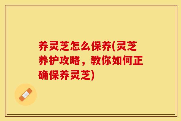 养灵芝怎么保养(灵芝养护攻略，教你如何正确保养灵芝)