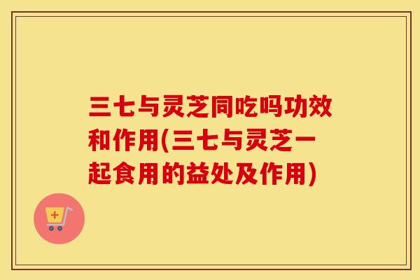 三七与灵芝同吃吗功效和作用(三七与灵芝一起食用的益处及作用)