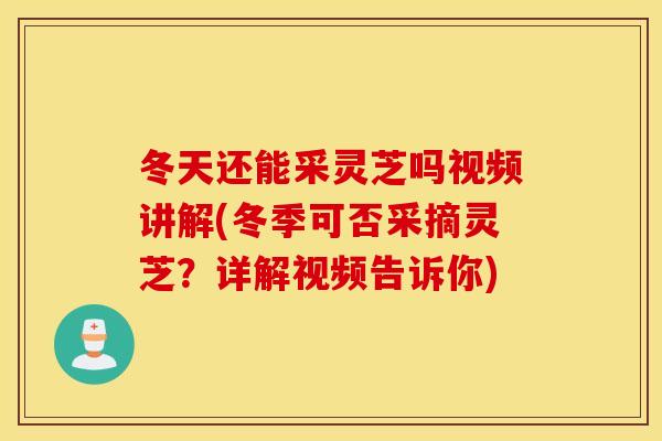 冬天还能采灵芝吗视频讲解(冬季可否采摘灵芝？详解视频告诉你)