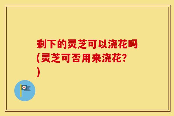 剩下的灵芝可以浇花吗(灵芝可否用来浇花？)