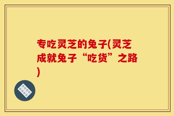 专吃灵芝的兔子(灵芝成就兔子“吃货”之路)
