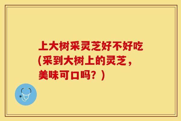 上大树采灵芝好不好吃(采到大树上的灵芝，美味可口吗？)