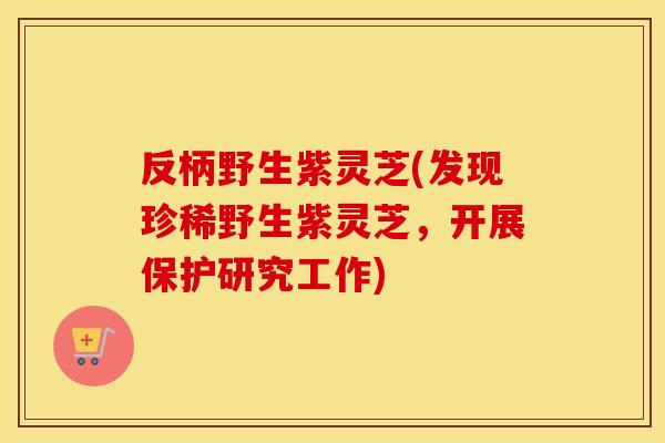 反柄野生紫灵芝(发现珍稀野生紫灵芝，开展保护研究工作)