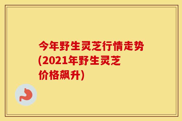 今年野生灵芝行情走势(2021年野生灵芝价格飙升)