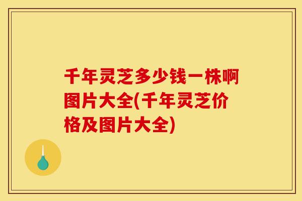 千年灵芝多少钱一株啊图片大全(千年灵芝价格及图片大全)