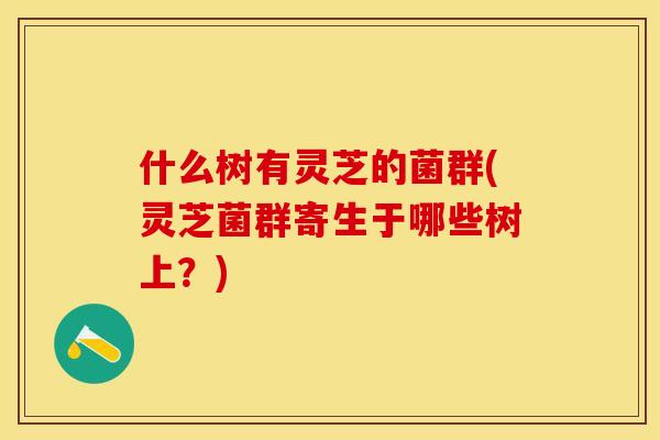 什么树有灵芝的菌群(灵芝菌群寄生于哪些树上？)