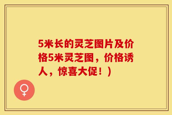 5米长的灵芝图片及价格5米灵芝图，价格诱人，惊喜大促！)