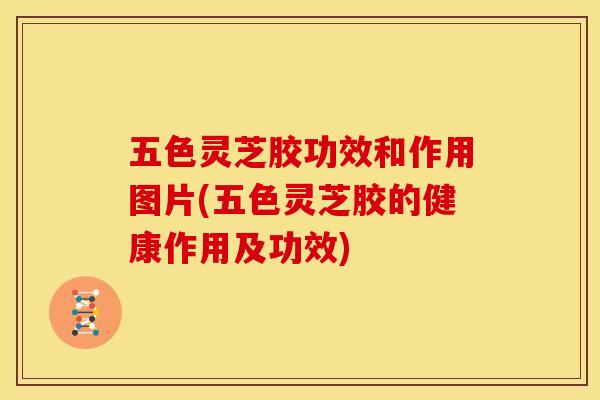 五色灵芝胶功效和作用图片(五色灵芝胶的健康作用及功效)