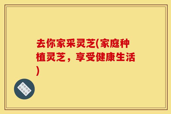 去你家采灵芝(家庭种植灵芝，享受健康生活)