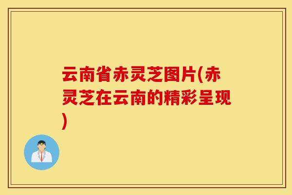云南省赤灵芝图片(赤灵芝在云南的精彩呈现)