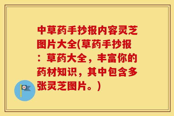中草药手抄报内容灵芝图片大全(草药手抄报：草药大全，丰富你的药材知识，其中包含多张灵芝图片。)