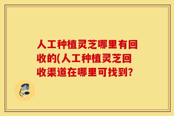人工种植灵芝哪里有回收的(人工种植灵芝回收渠道在哪里可找到？