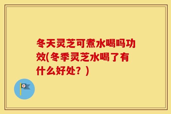 冬天灵芝可煮水喝吗功效(冬季灵芝水喝了有什么好处？)