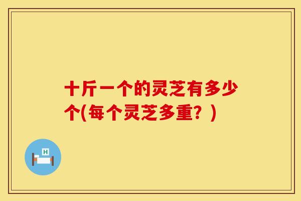 十斤一个的灵芝有多少个(每个灵芝多重？)