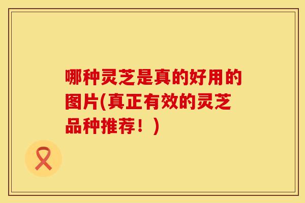 哪种灵芝是真的好用的图片(真正有效的灵芝品种推荐！)