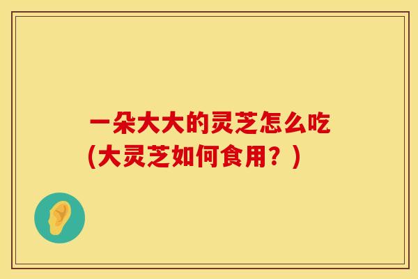 一朵大大的灵芝怎么吃(大灵芝如何食用？)