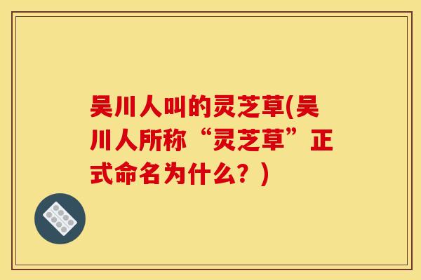 吴川人叫的灵芝草(吴川人所称“灵芝草”正式命名为什么？)