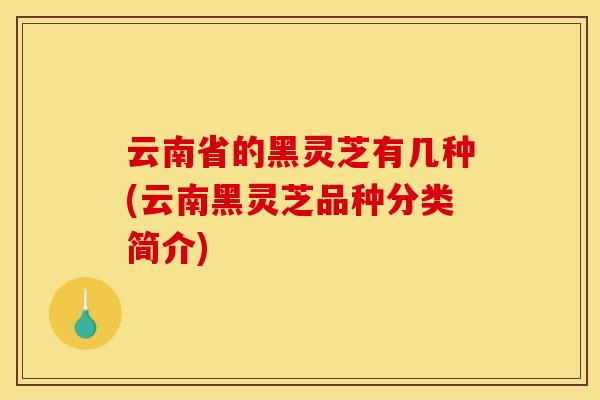 云南省的黑灵芝有几种(云南黑灵芝品种分类简介)
