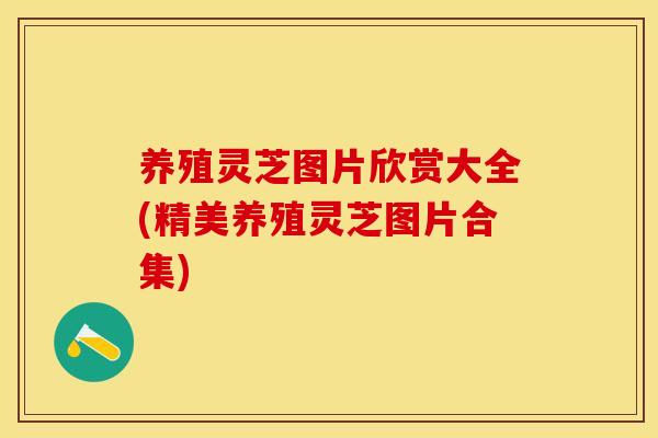 养殖灵芝图片欣赏大全(精美养殖灵芝图片合集)