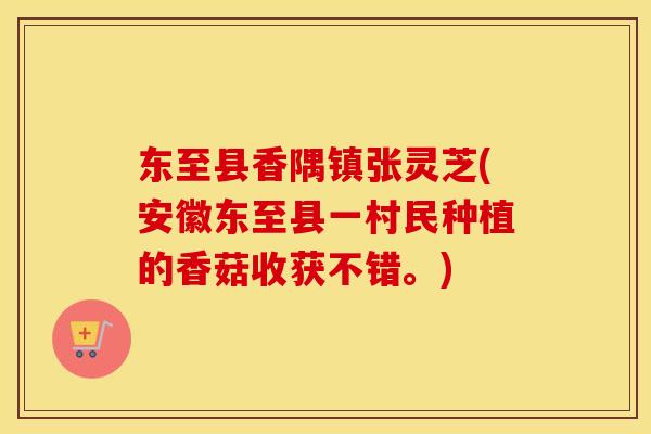 东至县香隅镇张灵芝(安徽东至县一村民种植的香菇收获不错。)