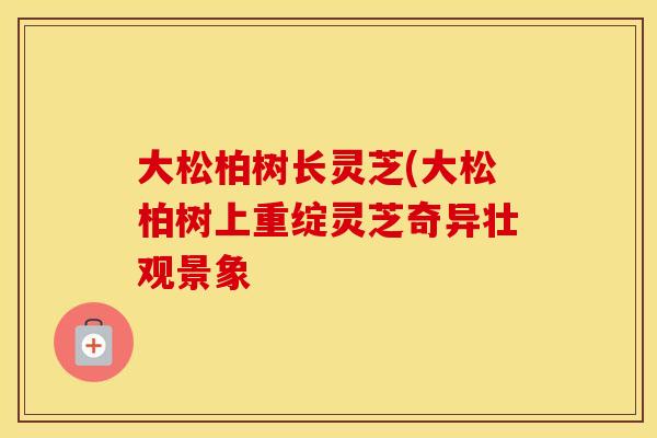 大松柏树长灵芝(大松柏树上重绽灵芝奇异壮观景象