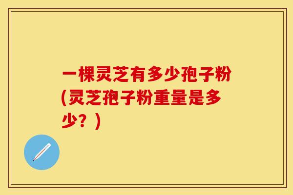 一棵灵芝有多少孢子粉(灵芝孢子粉重量是多少？)