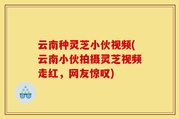 云南种灵芝小伙视频(云南小伙拍摄灵芝视频走红，网友惊叹)