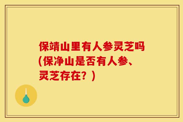 保靖山里有人参灵芝吗(保净山是否有人参、灵芝存在？)
