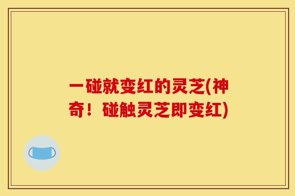一碰就变红的灵芝(神奇！碰触灵芝即变红)