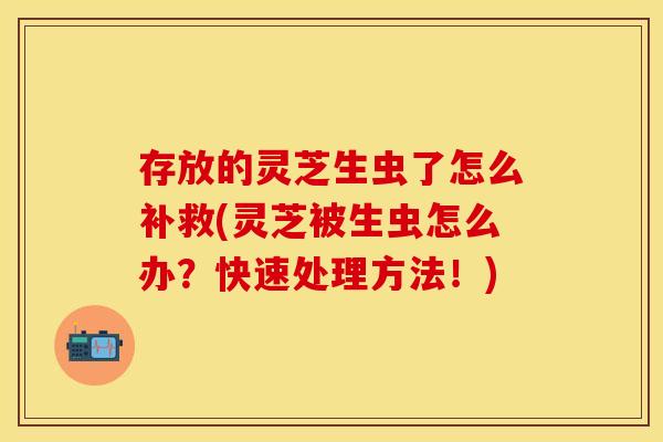 存放的灵芝生虫了怎么补救(灵芝被生虫怎么办？快速处理方法！)