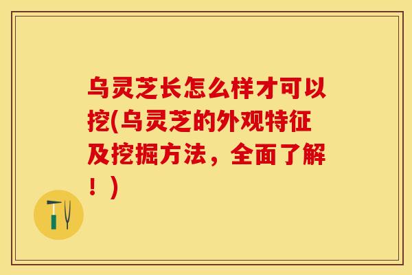 乌灵芝长怎么样才可以挖(乌灵芝的外观特征及挖掘方法，全面了解！)
