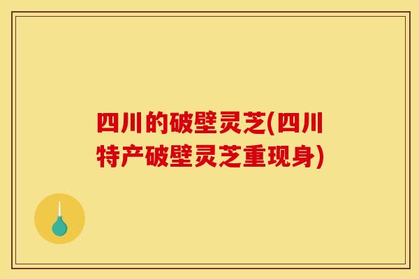 四川的破壁灵芝(四川特产破壁灵芝重现身)