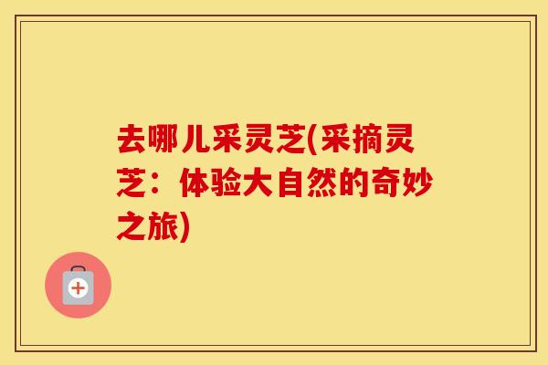 去哪儿采灵芝(采摘灵芝：体验大自然的奇妙之旅)