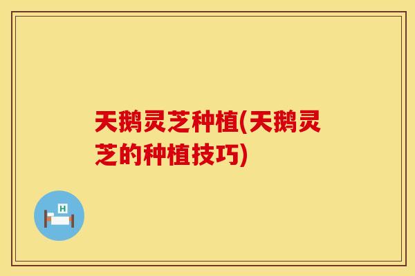 天鹅灵芝种植(天鹅灵芝的种植技巧)