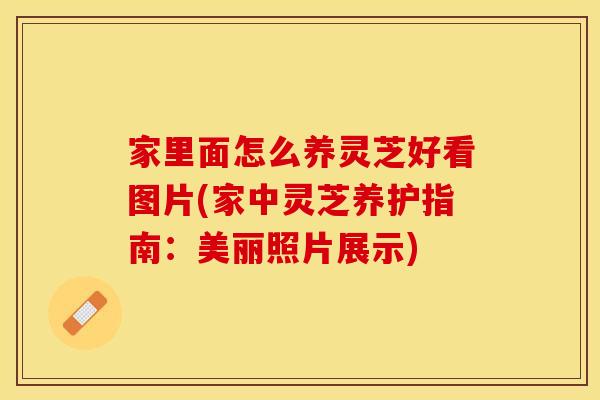 家里面怎么养灵芝好看图片(家中灵芝养护指南：美丽照片展示)