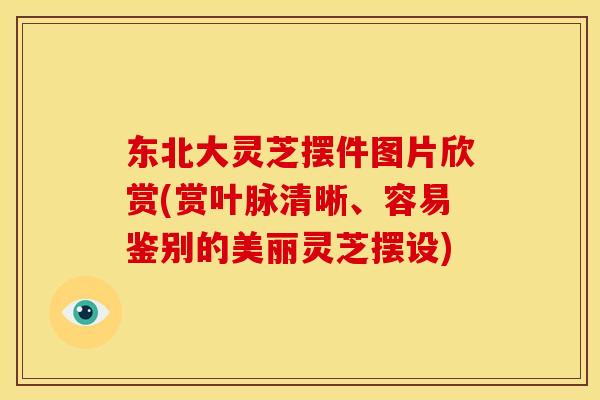 东北大灵芝摆件图片欣赏(赏叶脉清晰、容易鉴别的美丽灵芝摆设)