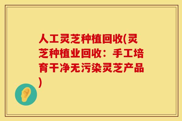 人工灵芝种植回收(灵芝种植业回收：手工培育干净无污染灵芝产品)