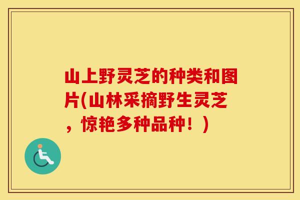 山上野灵芝的种类和图片(山林采摘野生灵芝，惊艳多种品种！)