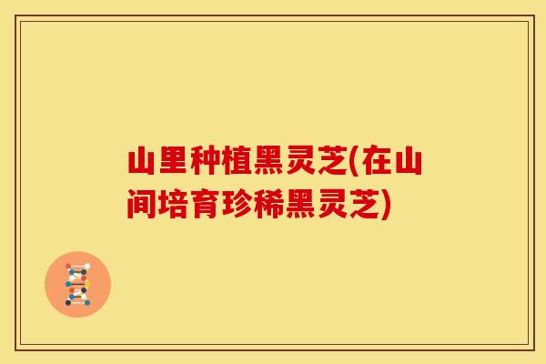 山里种植黑灵芝(在山间培育珍稀黑灵芝)