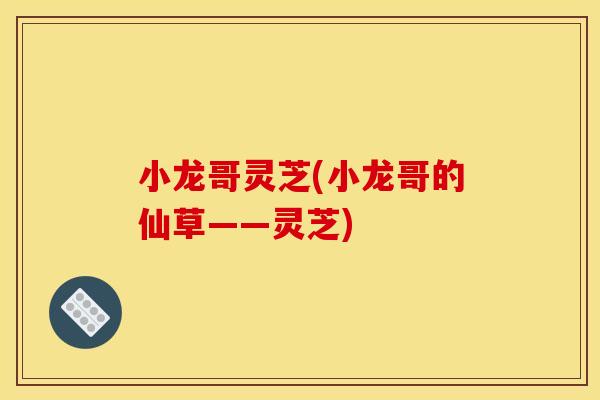 小龙哥灵芝(小龙哥的仙草——灵芝)