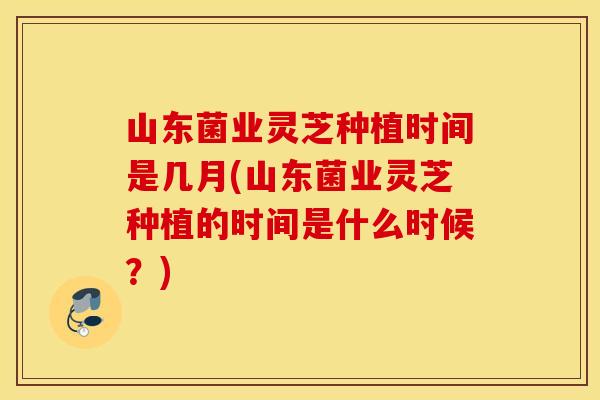 山东菌业灵芝种植时间是几月(山东菌业灵芝种植的时间是什么时候？)